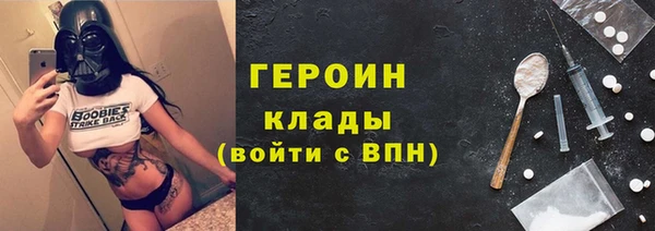 индика Богородск