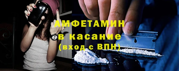 индика Богородск