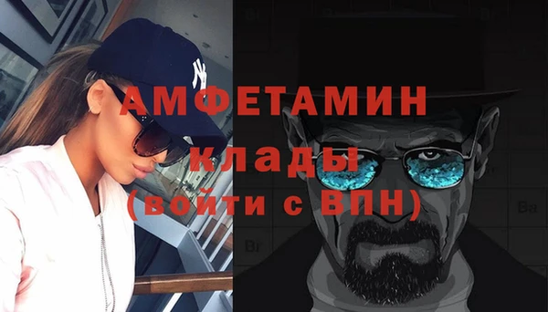 индика Богородск