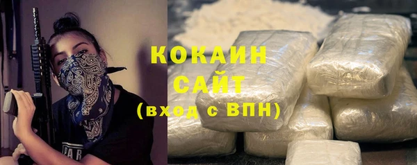 индика Богородск