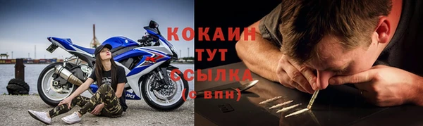 стафф Богородицк