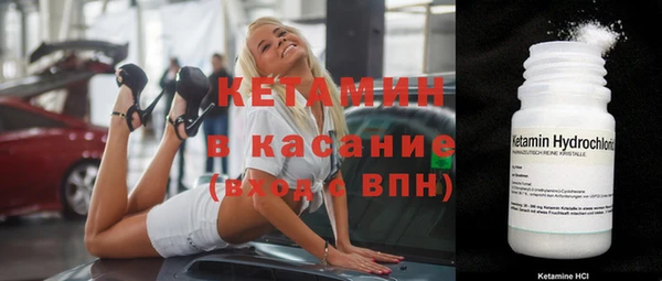 индика Богородск