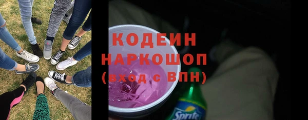 индика Богородск