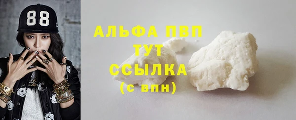 индика Богородск