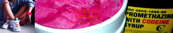 индика Богородск