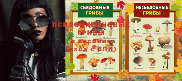 индика Богородск