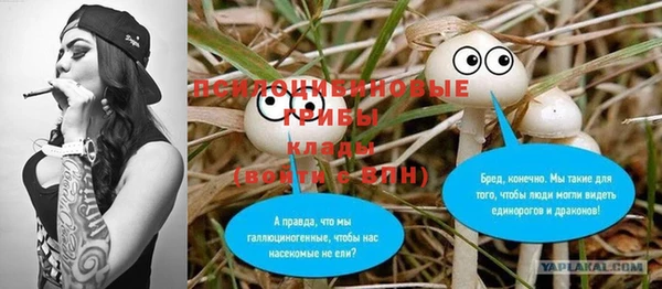 стафф Богородицк