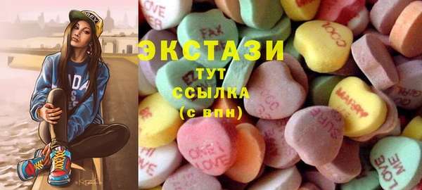 индика Богородск