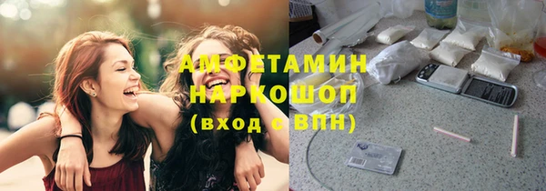индика Богородск