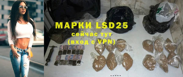 стафф Богородицк
