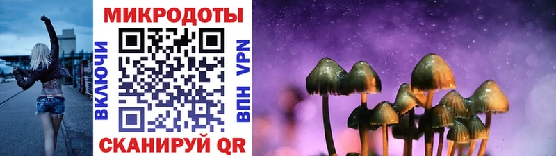 OMG вход  Рязань  Галлюциногенные грибы Cubensis 